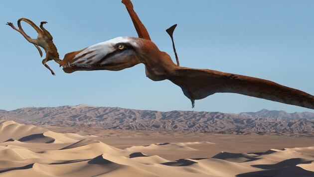 Künstlerische Darstellung des in Utah entdeckten Flugsauriers (Bild: AP/Brigham Young University)