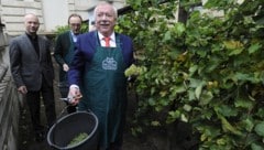 Dompfarrer Anton Faber, Weinbauer Hans Schmid und Bürgermeister Michael Häupl (v.l.n.r.) (Bild: APA/HERBERT PFARRHOFER)