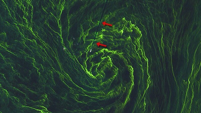 Algenblüte in der Ostsee, fotografiert aus dem Weltall. (Bild: Copernicus Sentinel data (2015)/ESA)