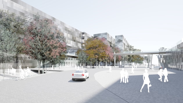 Mit dem Neubau des Med Campus im Bezirk Ries entsteht der vierte Universitätsstandort in Graz. (Bild: KRONEN ZEITUNG)