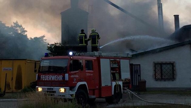Der Holzverarbeitungsbetrieb nahe Amstetten stand in Flammen. (Bild: BFK Amstetten)