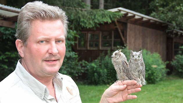 Wildtier-Experte Dietmar Streitmaier kümmert sich um verletzte Wildtiere. (Bild: Hannes Wallner)