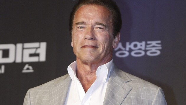 Arnold Schwarzenegger ist für seine Fans eigentlich rundum perfekt. (Bild: APA/EPA/KIM HEE-CHUL)