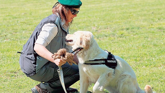 Bergwächterin Birgit Zankl beim Training mit ihrer "Lucy", die nun vergiftet wurde. (Bild: Peter Cech)