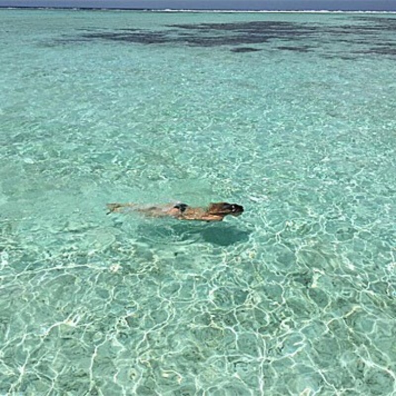 Auf den Malediven genießt Bar Refaeli nicht nur das türkisblaue Meer, ... (Bild: instagram.com/barrefaeli)