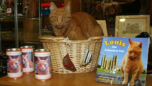 "Louis" ist sogar Star seiner eigenen Merchandising-Serie. (Bild: Wells Journal)