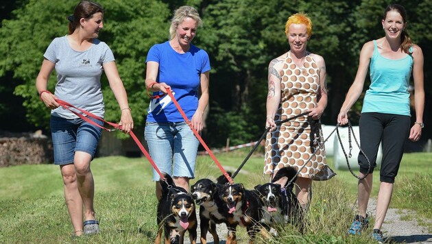 Tierheim-Mitarbeiterinnen und Helferinnen mit Wilflingseder (2. v. re.) und den "Tarrenz-Hunden" (Bild: Tierschutzverein für Tirol/Grießenböck)