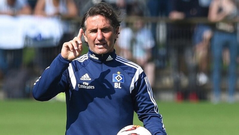 HSV-Coach Bruno Labbadia (Bild: GEPA)