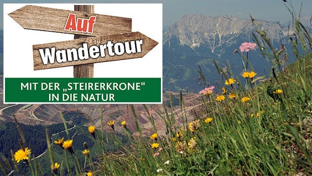 Zum Auftakt führt die neue "Krone"-Serie auf den Polster. Der Ausblick vom Gipfel ist grandios. (Bild: Naturfreunde Steiermark/Rassi)