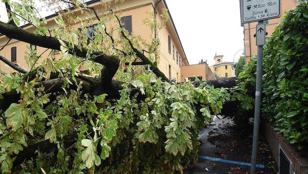 Eine Straße in Bologna (Bild: APA/EPA/GIORGIO BENVENUTI)