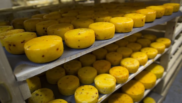 In Switzerland, a cheese manufacturer was sentenced for listeria deaths (symbolic image). (Bild: AP)