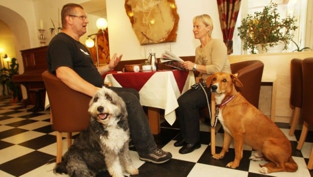 Der Hund darf überall mit. Es gibt auch einen eigenen Speisesaal, wo Vierbeiner willkommen sind. (Bild: Uta Rojsek-Wiedergut)