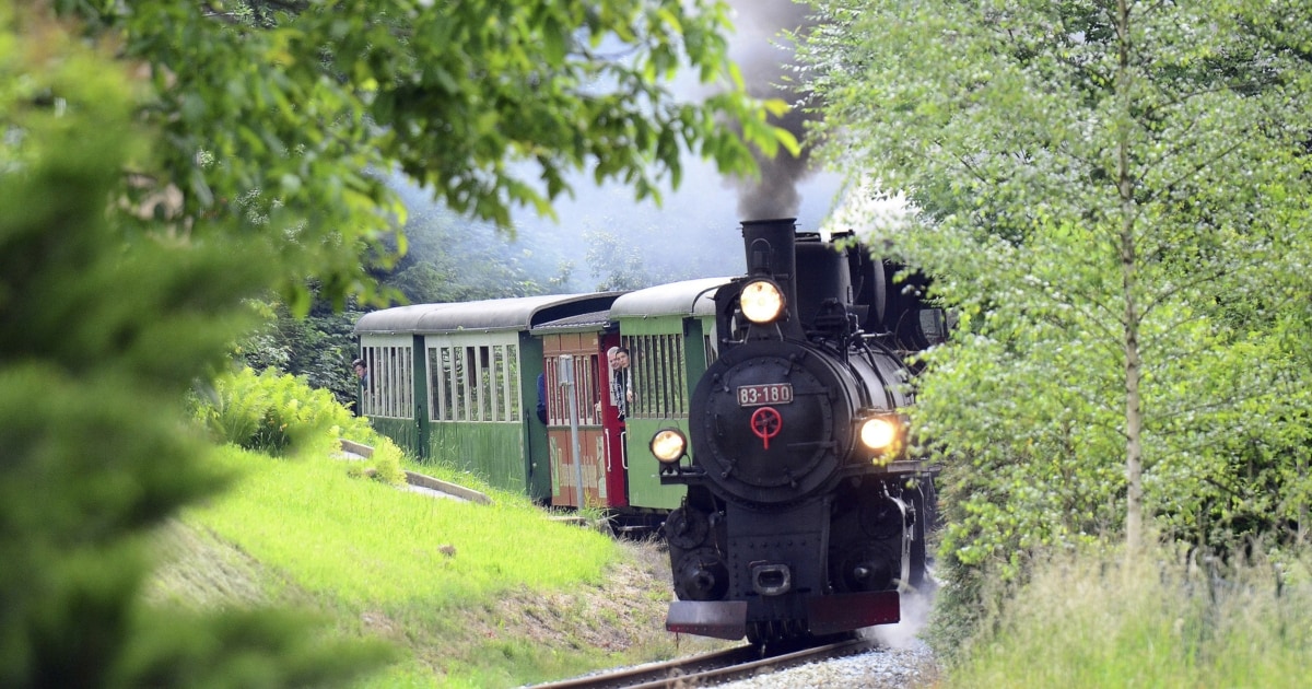 22.08 - Der historischen Feistritztalbahn droht das Aus