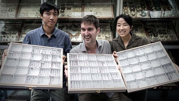 Benoit Guenard (Mitte), Initiator der Ameisenkarte, mit Kollegen der Universität Hongkong (Bild: AFP)