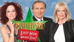 Mausi Lugner trat gegen Peter Bond und "Dschungelkönigin" Ingrid van Bergen an. (Bild: RTL)