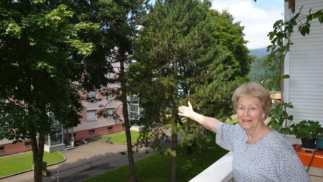 Herta Saiger kämpft für diese hohen Bäume. (Bild: Heinz Weeber)