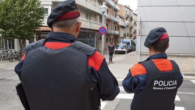 Die Polizei konnte die beiden „großen Fische“ am vergangenen Freitag und am Dienstag dingfest machen (Archivbild). (Bild: APA/EPA/ROBIN TOWNSEND)