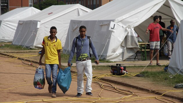 Auch die Zelte in Linz sind bis 31. Juli weg, bekräftigt LH Pühringer (Bild: Kronen Zeitung/Markus Schütz)