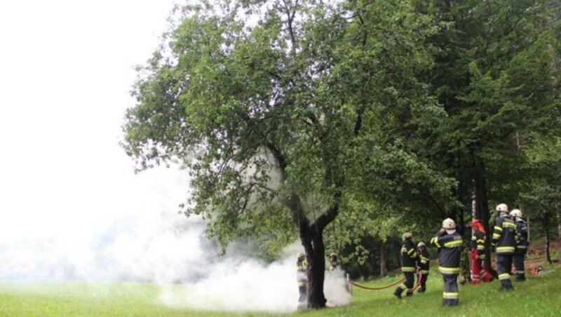 In Wies wurde ein Baum von einem Blitz getroffen und begann zu brennen. (Bild: FF Wies)