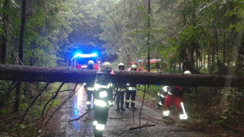 Im steirischen Michlgleinz fiel ein Baum auf eine Stromleitung. (Bild: FF Michlgleinz)