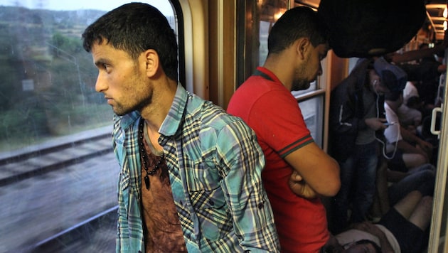 Aufregung um mit Flüchtlingen vollgepferchte Eisenbahnwaggons in Ungarn (Bild: APA/EPA/DJORDJE SAVIC)