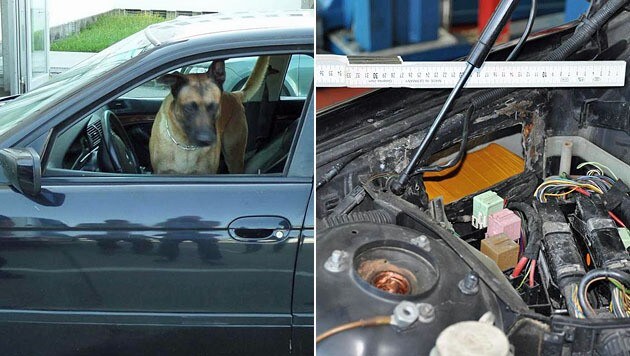 Polizeihund "Ripon" erschnüffelte das Heroin. (Bild: LPD Salzburg)