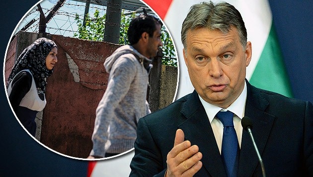 Laut Orban werde seine Regierung mit allen Mitteln gegen illegale Grenzgänger auftreten. (Bild: AP, AFP)