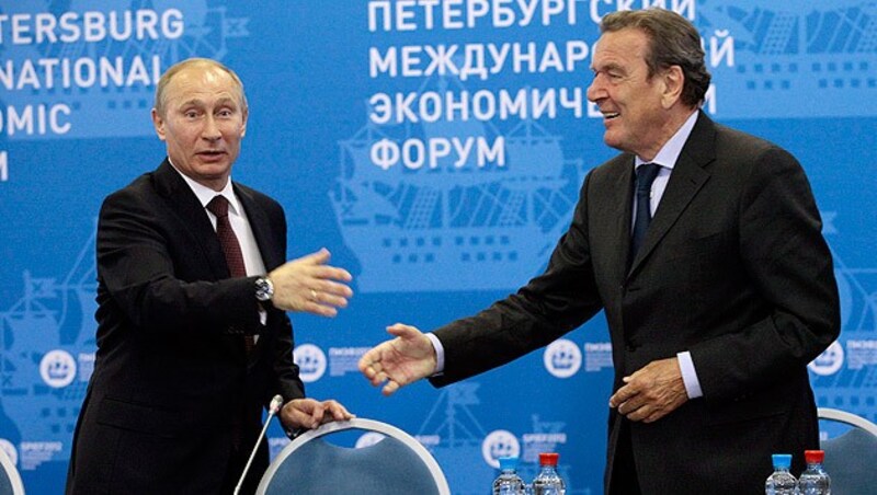 Putin und Schröder begrüßen sich vor einer Konferenz in St. Petersburg im Jahr 2012. (Bild: DMITRY LOVETSKY/EPA/picturedesk.com)