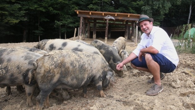 Josef Totter mit seinen Bio-Turopolje-Schweinen. (Bild: Sepp Pail)