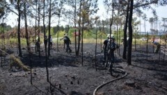 Allein zum Föhrenwald im Bezirk Neunkirchen mussten die Florianis am Wochenende vier Mal ausrücken. (Bild: Einsatzdoku.at)