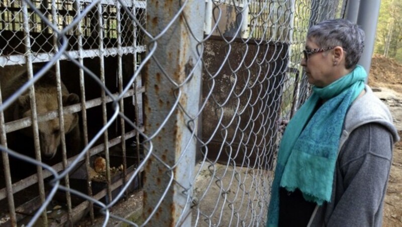 Schauspielerin Katerina Jacob war vom Schicksal der Tiere ergriffen. (Bild: Vier Pfoten/Mihai Vasile)