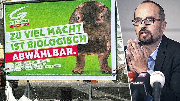 Der grüne EU-Abgeordnete Michel Reimon kritisiert unter anderem die Plakatwerbung seiner Partei. (Bild: APA/DIE GRÜNEN BURGENLAND, APA/VIOLA JAGL)