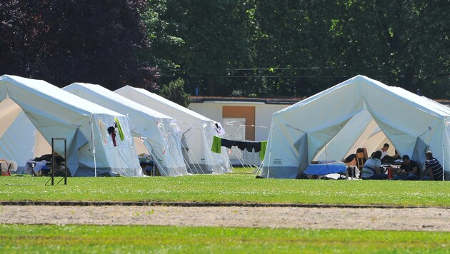 Zeltlager am Polizeisportplatz in Linz: Geht es nach LH Pühringer, so müssen diese Zelte bald weg (Bild: Horst Einöder)