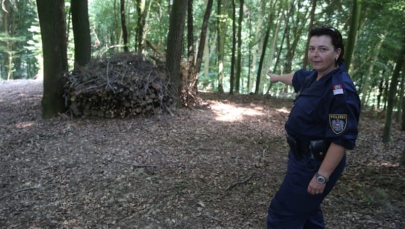 Hinter diesem Holzstoß versteckte sich der mutmaßliche Täter in einem Erdloch. (Bild: Sepp Pail)