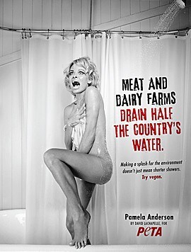 Erst vor Kurzem setzte sich Pamela Anderson nackt für ein Leben ohne Fleisch ein. (Bild: peta.ort)