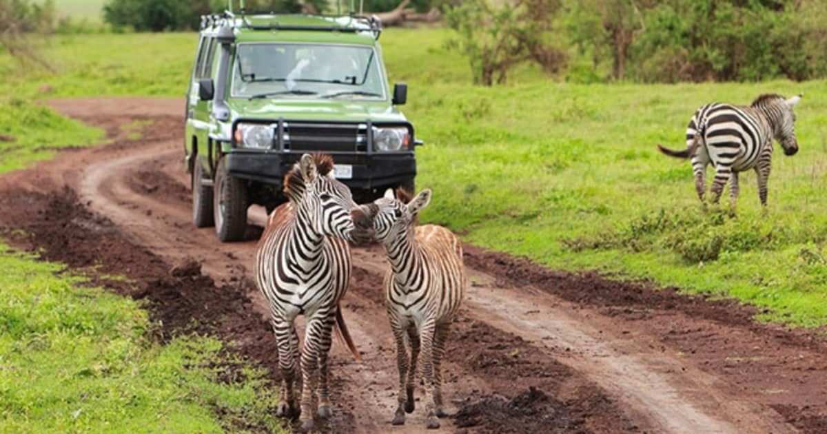 safari unfall namibia