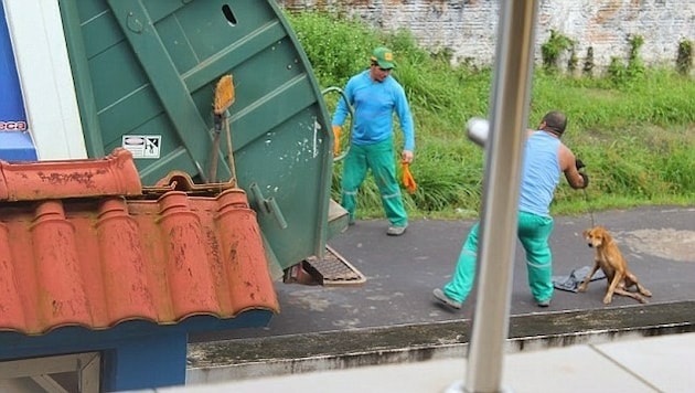 Der Mann wurde dabei fotografiert, wie er den verletzten Hund zum Müllwagen schliff und hineinwarf. (Bild: privat)