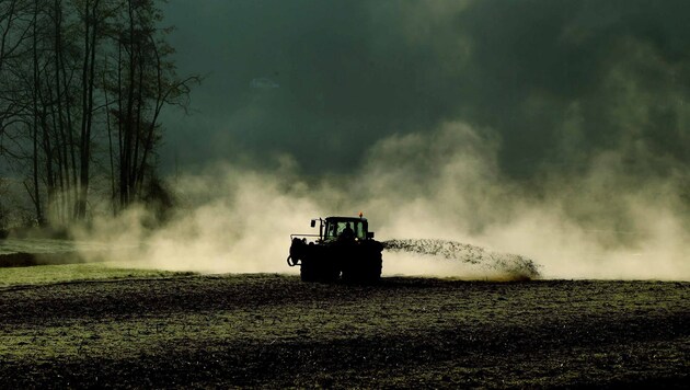 Werden Felder überdüngt, ergeben sich massive Probleme für Mensch und Umwelt. (Bild: Sepp Pail)