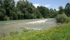 An der Enns sollen gleich mehrere Wasserkraftwerke errichtet werden. (Bild: Jürgen Radspieler)