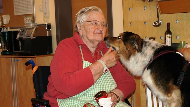 "Ares" aus Telfs Tirol beim Besuch in einem Altersheim (Bild: Verein "Tiere helfen leben")