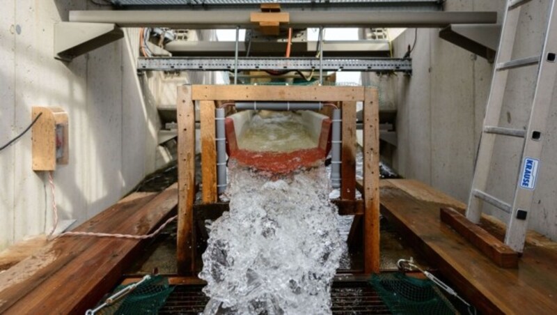 Durch die Rotation entsteht Strömung, aber keine Sogwirkung. Die Fische schwimmen freiwillig ein. (Bild: Verbund/Johannes Wiedl)