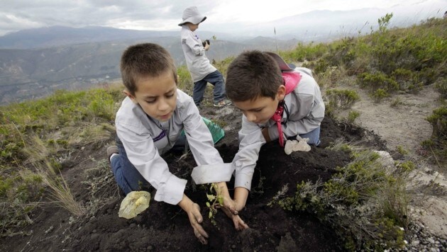 Kinder beim Pflanzen eines Baumes nördlich der Hauptstadt Quito (Bild: AP)