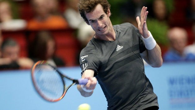 Der Sieger von 2014: Andy Murray! (Bild: APA/GEORG HOCHMUTH)