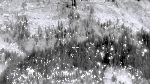 Das Foto der Wärmebildkamera zeigt, wie viele Glutnester sich in den Waldboden gefressen haben. (Bild: BMI / Polizeihubschrauber FLIR)