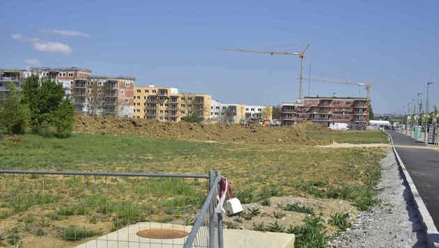 Neue Groß-Siedlung in Straßgang â013 gerade in Straßgang wird weiter massiv gebaut (Bild: Foto Ricardo; Richard Heintz 8010 A-Graz Sandgasse 47 )