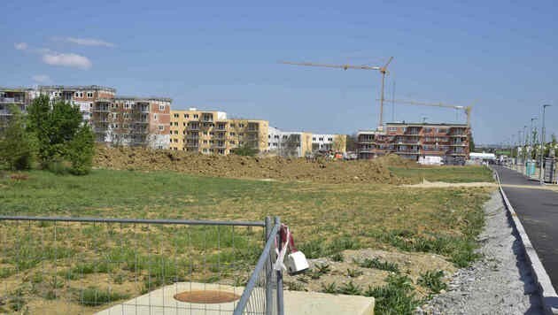 Neue Groß-Siedlung in Straßgang â013 gerade in Straßgang wird weiter massiv gebaut (Bild: Foto Ricardo; Richard Heintz 8010 A-Graz Sandgasse 47)