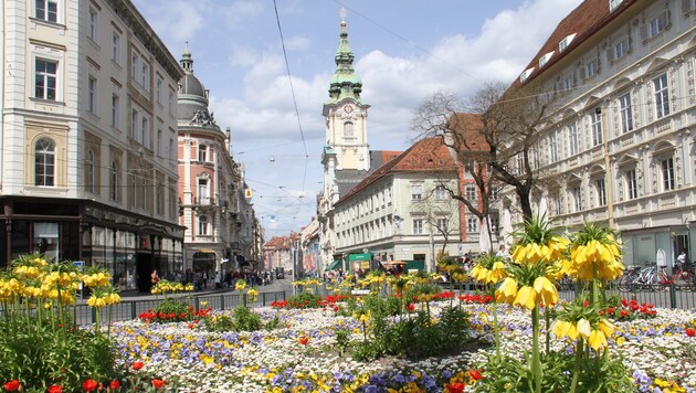 Frühlingsblumenschmuck für Graz - da fühlt man sich gleich viel wohler! (Bild: Christian Jauschowetz)