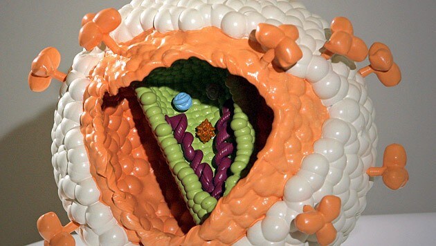 Das Modell eines HI-Virus (Bild: Jan-Peter Kasper/EPA/picturedesk.com)