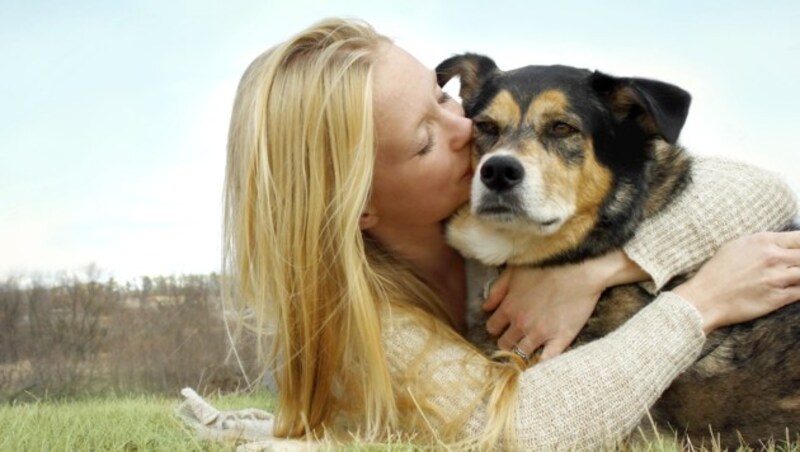 Umarmungen mögen keineswegs alle Hunde. (Bild: thinkstockphotos.de)