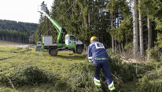Sogar in der windbegünstigten Südsteiermark kippten Bäume um, die Energie Steiermark rückte aus. (Bild: Energie Steiermark)